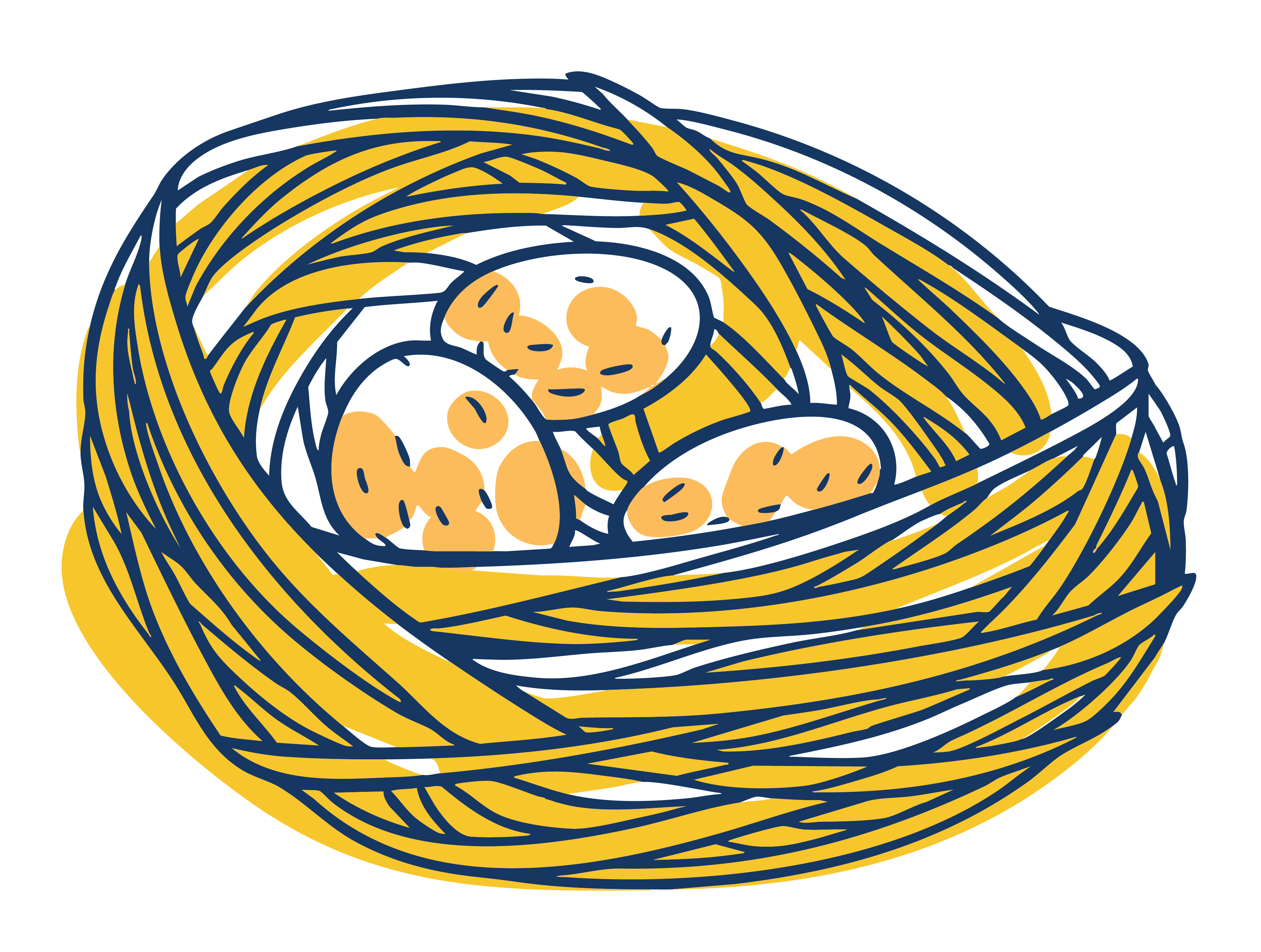 Protect Your Nest - Bird's nest with eggs