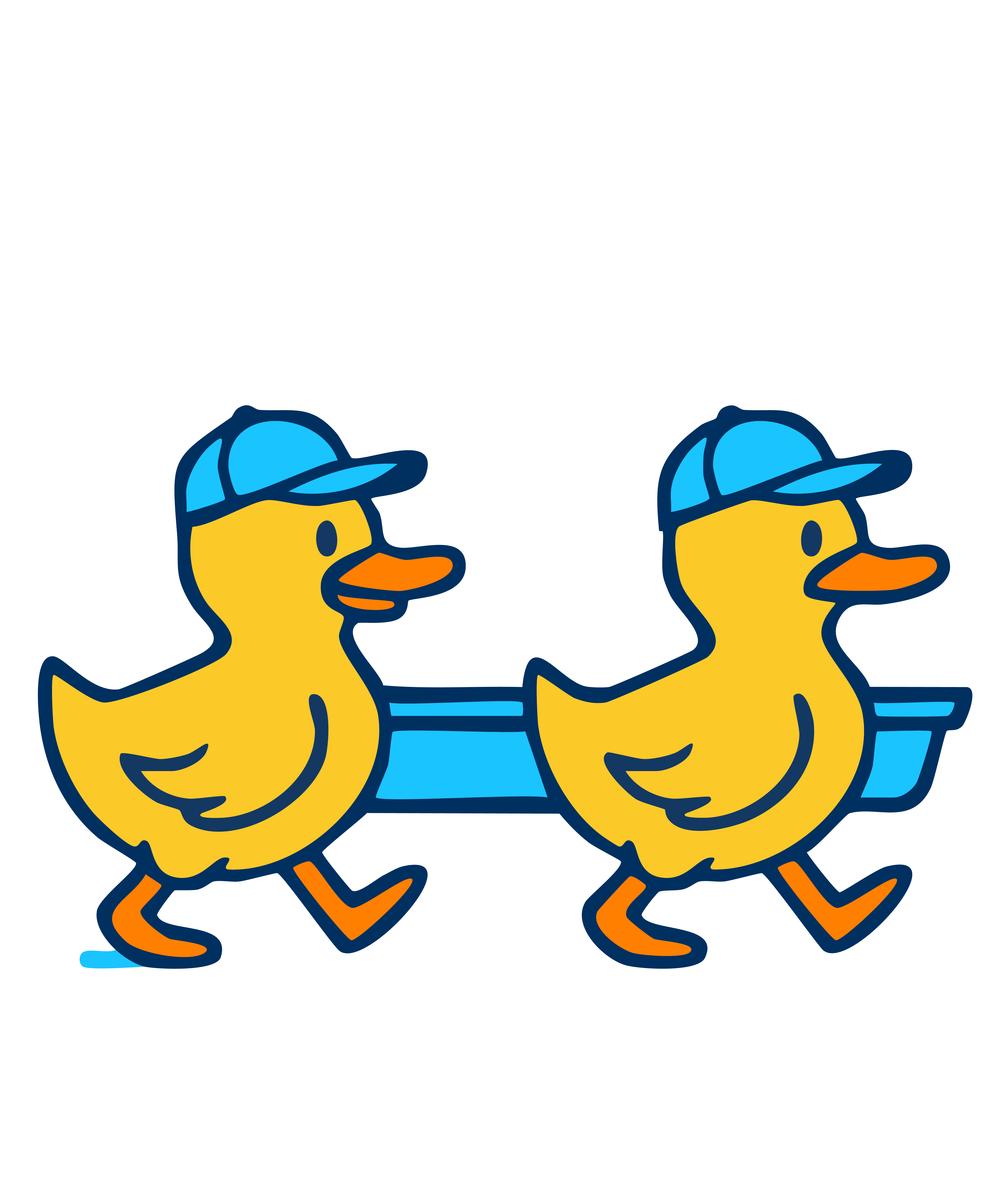 Duck Duck Gutter